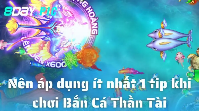 Nên áp dụng ít nhất 1 tip khi chơi Bắn Cá Thần Tài