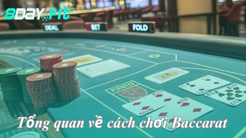 Tổng quan về cách chơi Baccarat 8DAY đơn giản với mọi khách hàng